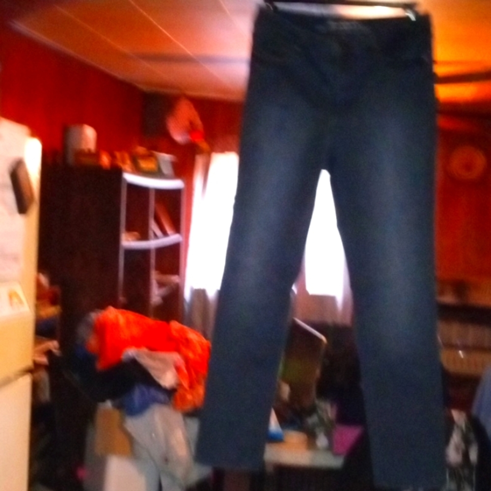 Gloria Vanderbilt All Around Slimming in Bridget Slim Leg Jeans size 14